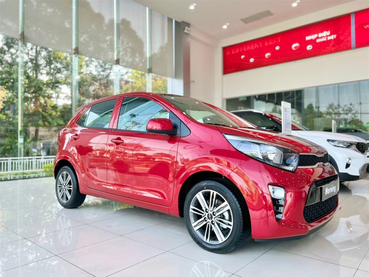 kia morning tinbanxe 1
