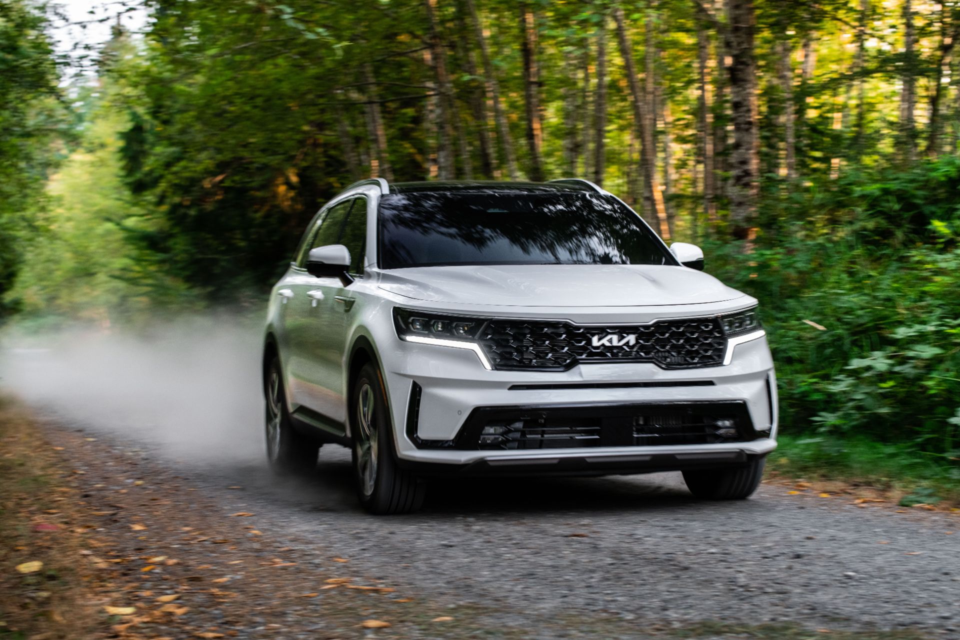 kia sorento tinbanxe 2