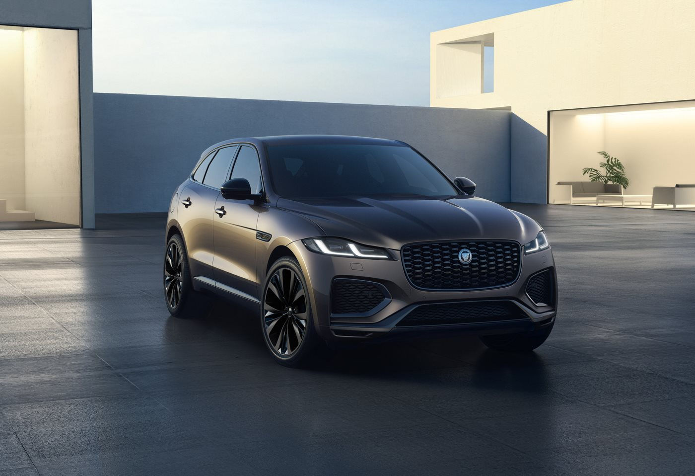 jaguar tinbanxe 1
